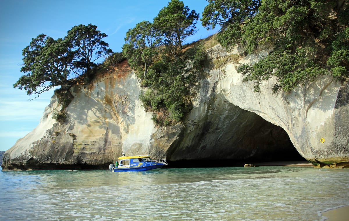 Day Tour to Cathedral Cove and Hot Water Beach from Auckland