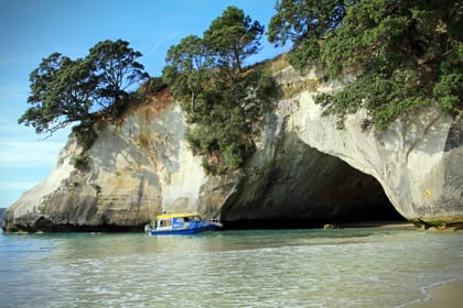 Coromandel Day Tour: Cathedral Cove and Driving Creek Railway