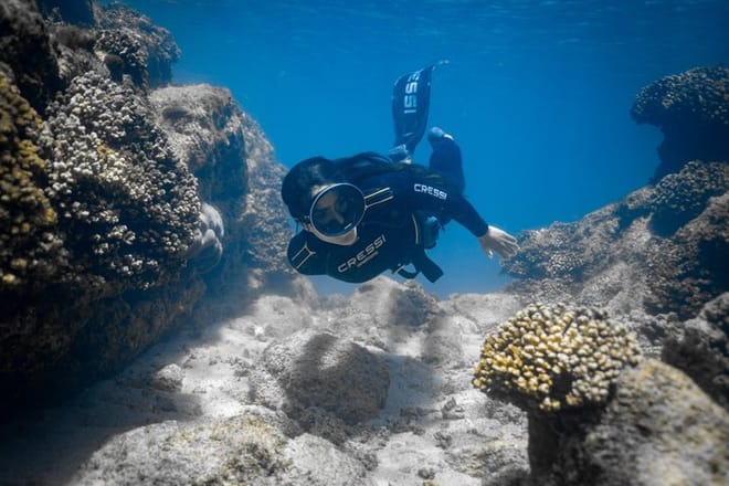 Private Los Cabos snorkeling tour to Chileno bay and Santa Maria cove 8