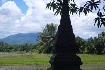 Half Day Rice Field Visions Guided Tour from Chiang Mai