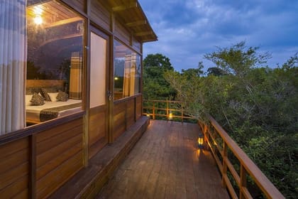 Private Leopard Nest Luxury Glamping Experience at Yala