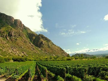 Cafayate