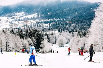 Private Trip Bakuriani & Borjomi Day Tour with Lots of Activities