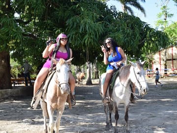 Punta Cana Adventure: Eco Farm, Horseback, Buggy, and Zipline Tour
