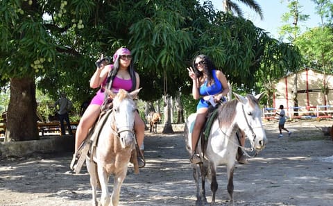 Punta Cana Adventure: Eco Farm, Horseback, Buggy, and Zipline Tour
