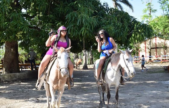 5 tours in 1 (Eco Farm/Horseback/City Tour/Buggy/Zipline)