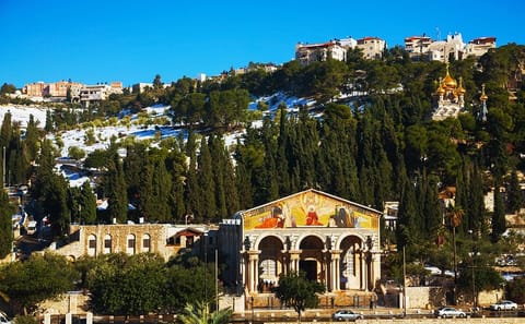 Private 1-Night Tour of Jerusalem and Bethlehem from Amman