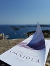 Full-Day Private Hvar, Brac, and Pakleni Islands Boat Cruise from Split 3
