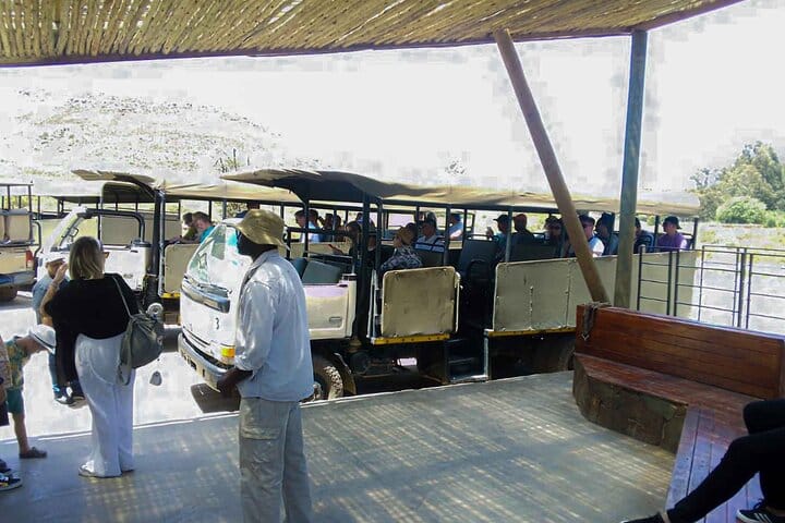  Big5 Wildlife Game Reserve Safari with wine tasting Transport 4