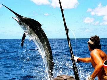 Deep Sea Fishing