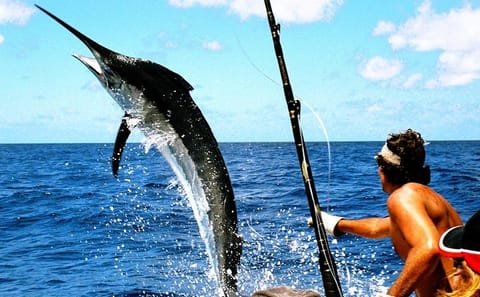 Deep Sea Fishing Adventure in Punta Cana, Dominican Republic