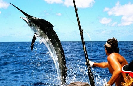 Deep Sea Fishing Adventure in Punta Cana, Dominican Republic