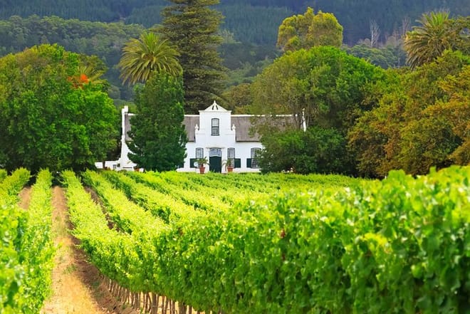 Half Day Cape Winelands photo 4