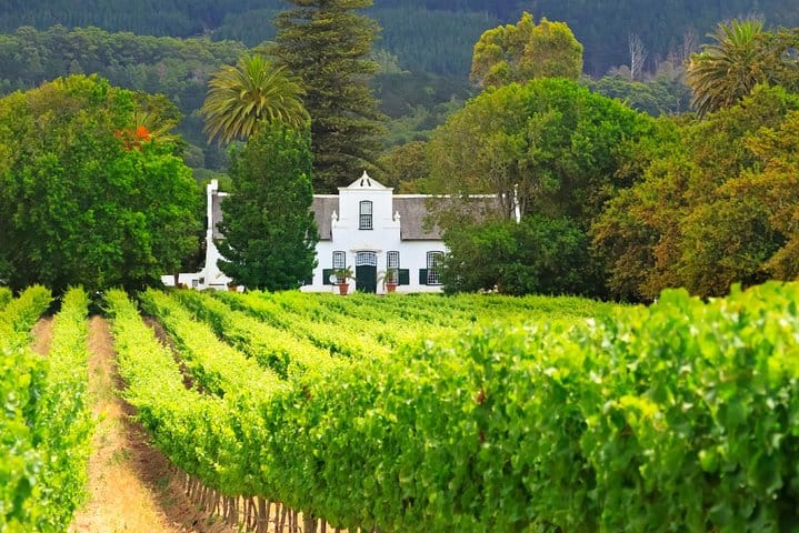 Half Day Cape Winelands 4