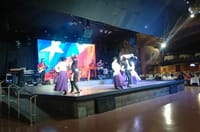Chilean Folklore Show and Dinner with Private Transport 1