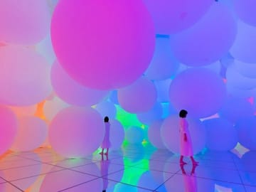 TeamLab Planets TOKYO Admission Entry Ticket