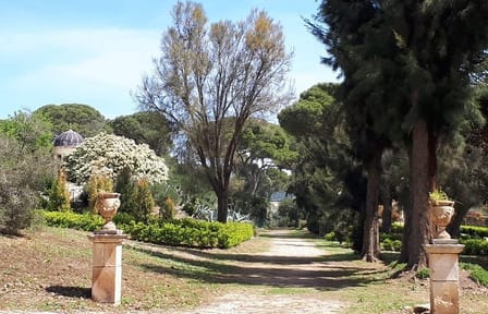 Sicily Day Trip: Explore Ragusa, Modica, Scicli & Donnafugata Castle