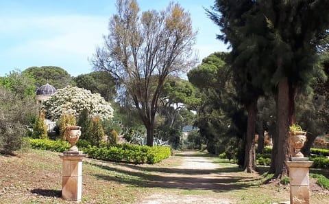 Sicily Day Trip: Explore Ragusa, Modica, Scicli & Donnafugata Castle
