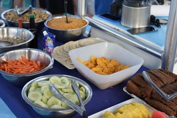 Public Catamaran Tour for Dolphin Watching in Tamarindo