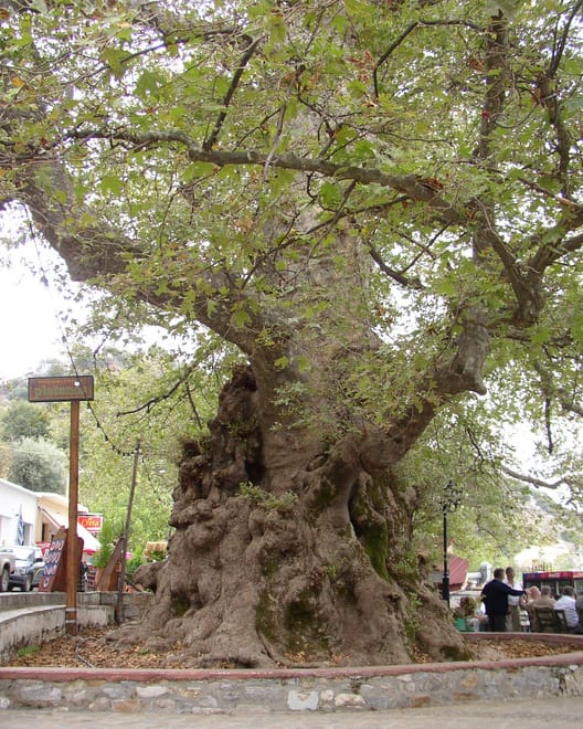 Day Tour to Lasithi from Heraklion photo 3