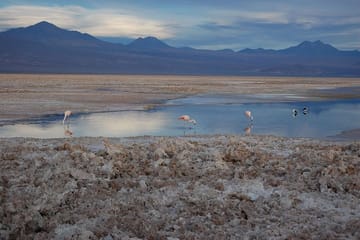 4-Days Discovery at San Pedro de Atacama