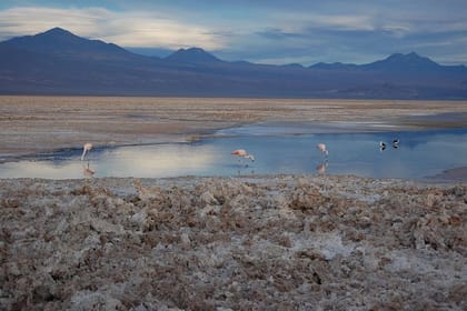 4-Days Discovery at San Pedro de Atacama