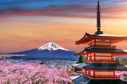 Tokyo To Mount Fuji Private English Guided Day Tour