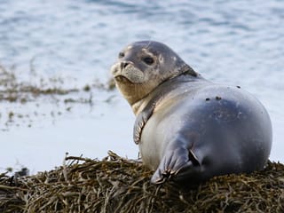 8-Day Small Group Journey Around Iceland, photo 7