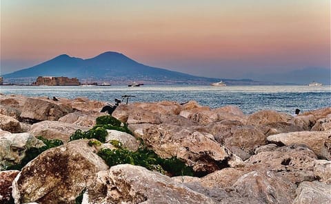 Guided Day Trip to Positano, Sorrento, and Pompeii from Naples