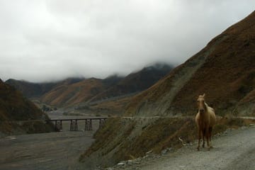 Laguna del Toro and Flamingo-Watching 4WD Tour from Salta