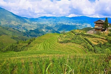 Full-day Hiking Tour of Longji Rice Terraces and Villages