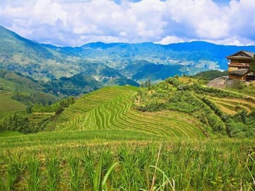 Full-day Tour: Longji Rice Terraces & Minority Villages