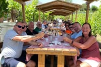 Guided Tour of Pompeii and Herculaneum with Lunch and Ticket  6