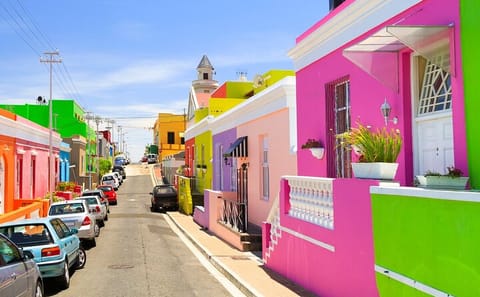 Private Cape Point and Penguin Tour from Cape Town