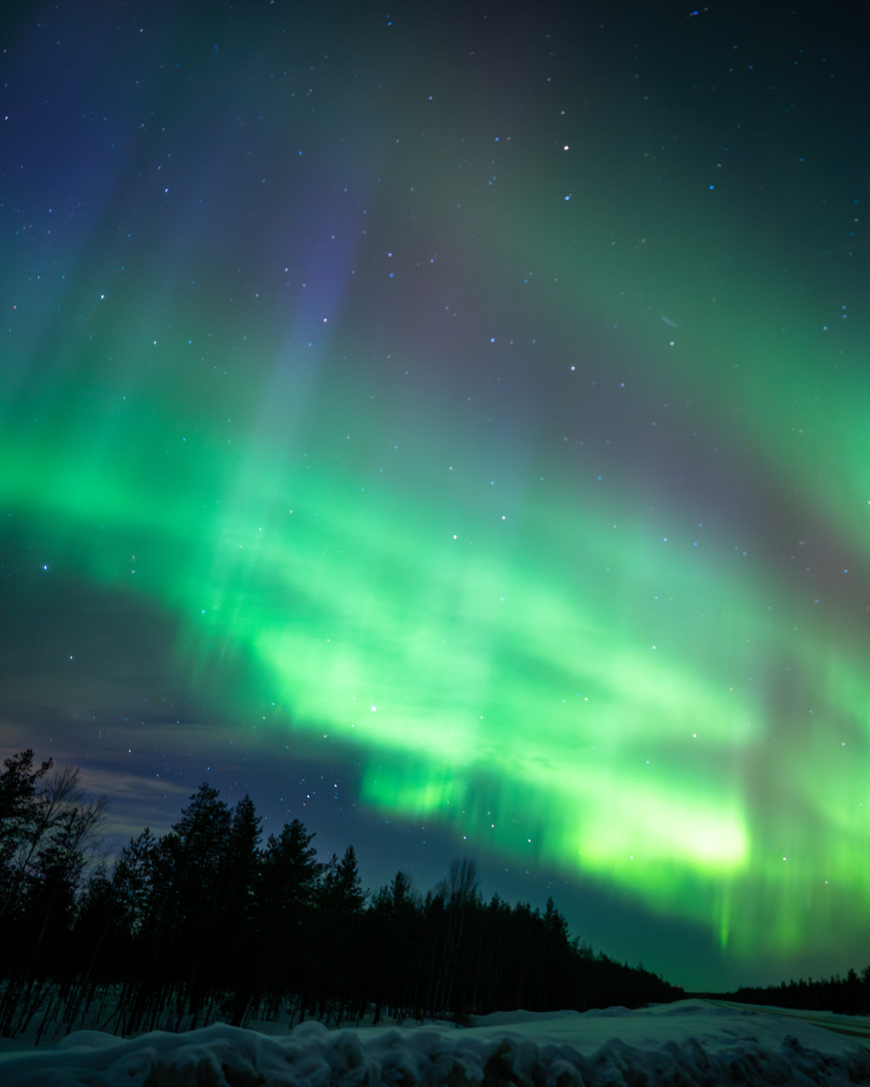StayLapland Professional Small Group Northern Lights Hunting Tour from Rovaniemi – Guaranteed