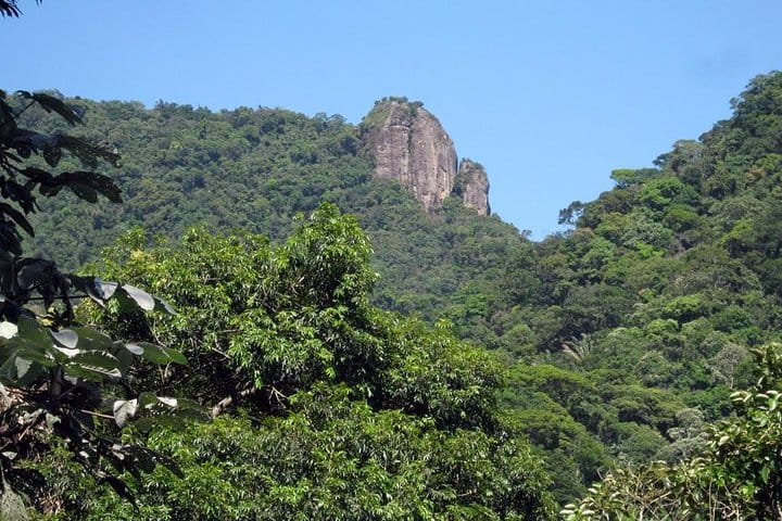 Tijuca Forest, one of the 4 wonders of Rio de Janeiro