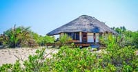  2Days/1Night Signature Saadani National Park from Zanzibar  5