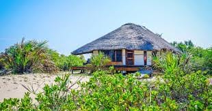 2Days/1Night Signature Saadani National Park from Zanzibar 5