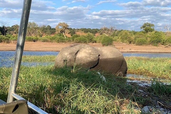 Full Day Tour to Chobe National Park and Botswana