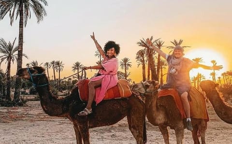 Agafay Desert Quad Biking and Camel Ride near Marrakech