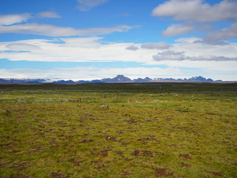 Private Golden Circle, Friðheimar & Your Choice of Geothermal Lagoon, photo 5