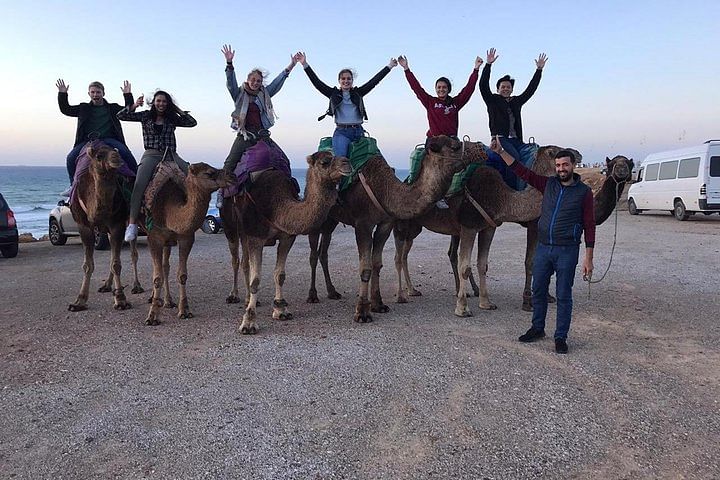 Private Tangier Tour: Camel Ride, Caves of Hercules & Medina Exploration