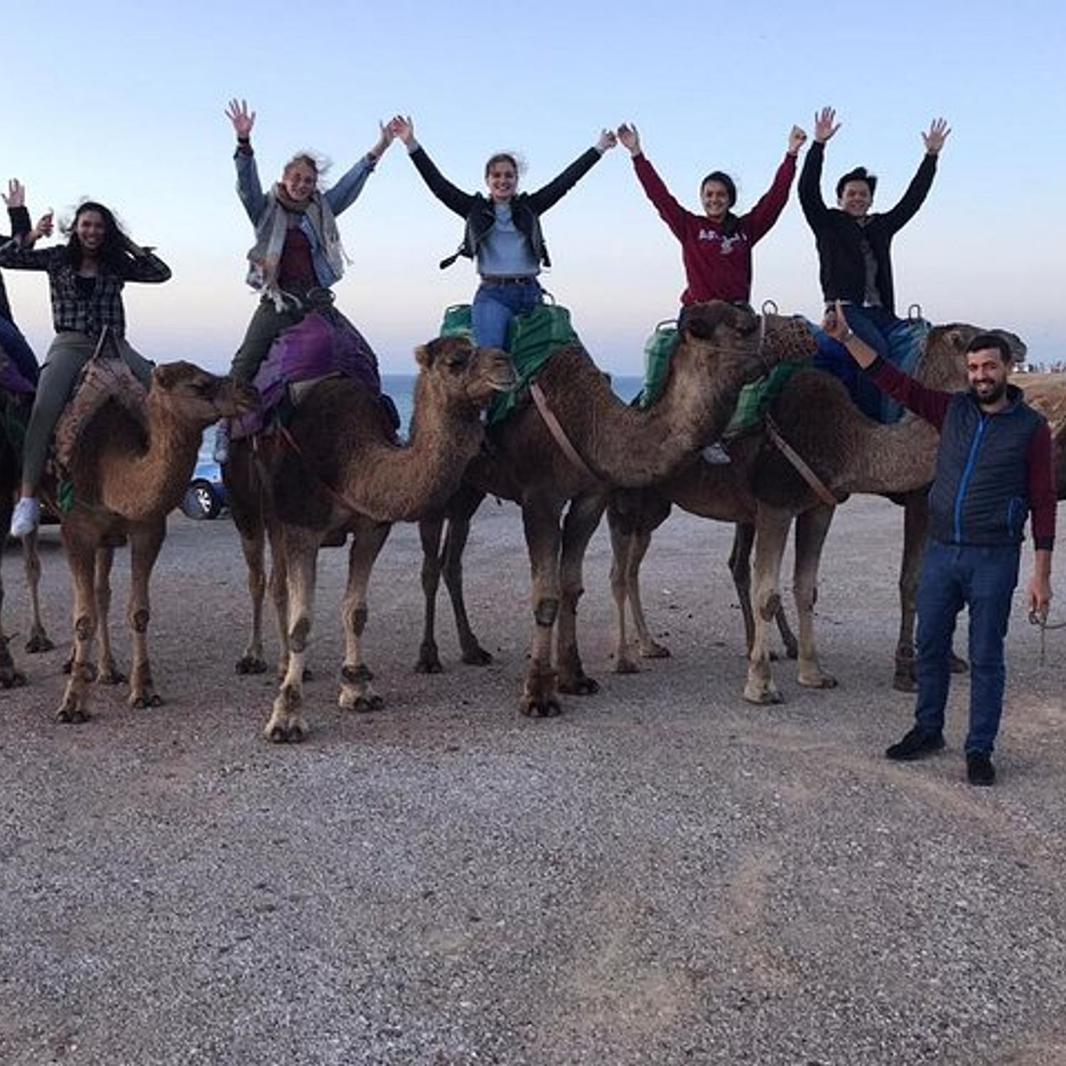 tangier camel tour