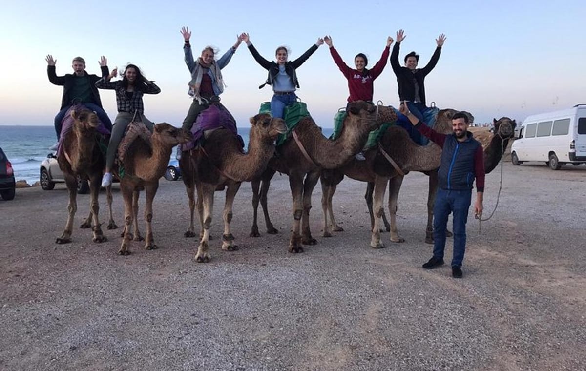 Tangier private tour & Camel ride (sightseeing & Walking Tour)