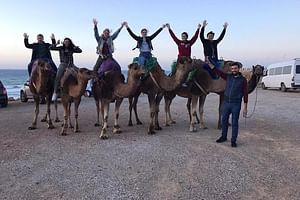 Tangier private tour & Camel ride (sightseeing & Walking Tour)
