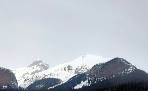 Icewalk Tour of Johnston Canyon and Lake Louise from Canmore
