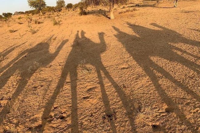 Camel Riding By Guest in Osian Desert.