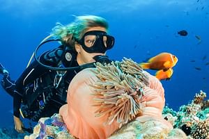 Discover Scuba Diving Adventure in Dubai with Private Transfer