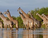 7 Days / 6 Nights Mount Kilimanjaro Trek – Marangu Route 5