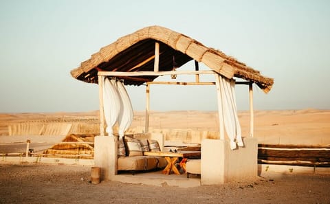 Desert ATV and Camel Tour in Agafay from Marrakech